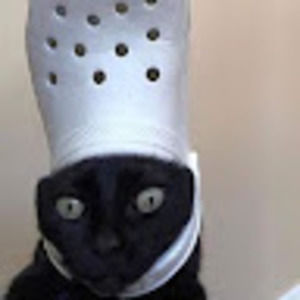 Meet your Posher, Cassius